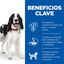 18 kg (15 + 3 kg ¡gratis!) Hill's Science Plan Adult Medium Cordero y Arroz pienso para perros, , large indicador imagen numero 4